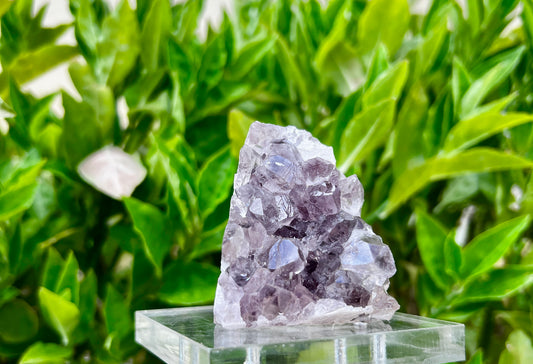 Amethyst Geode