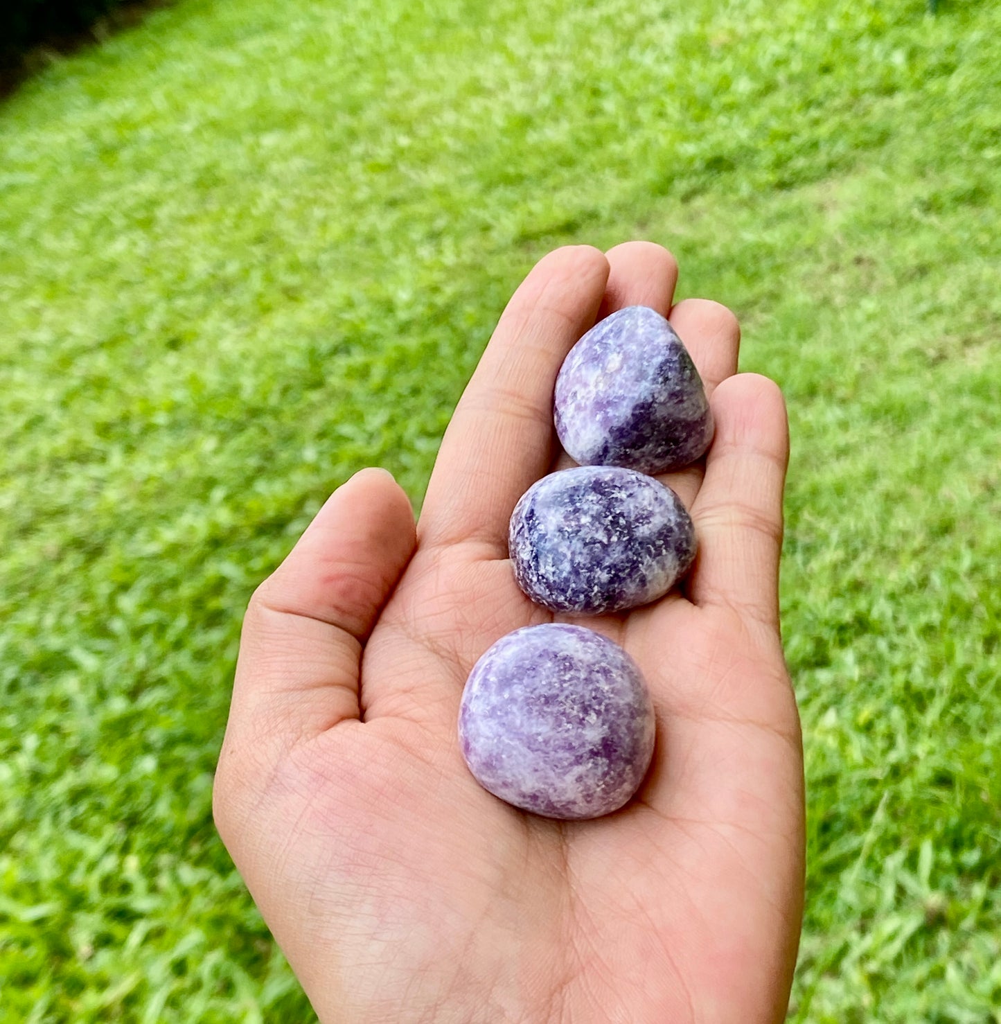 Lepidolite Lilac Tumbled (India)