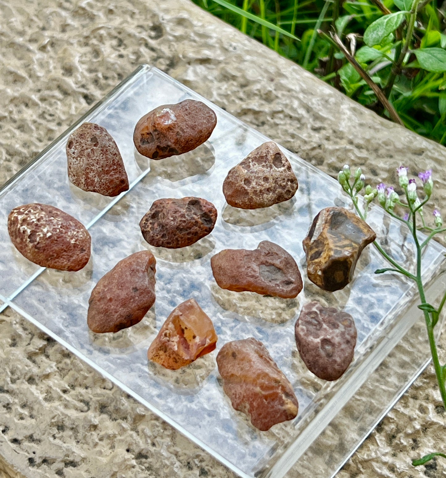 Carnelian Raw Tumbled Stones