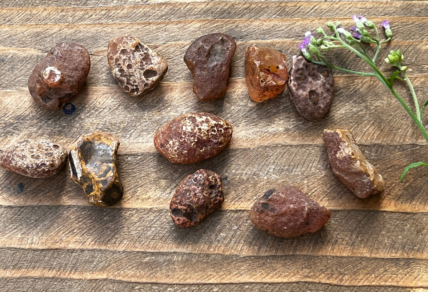 Carnelian Raw Tumbled Stones