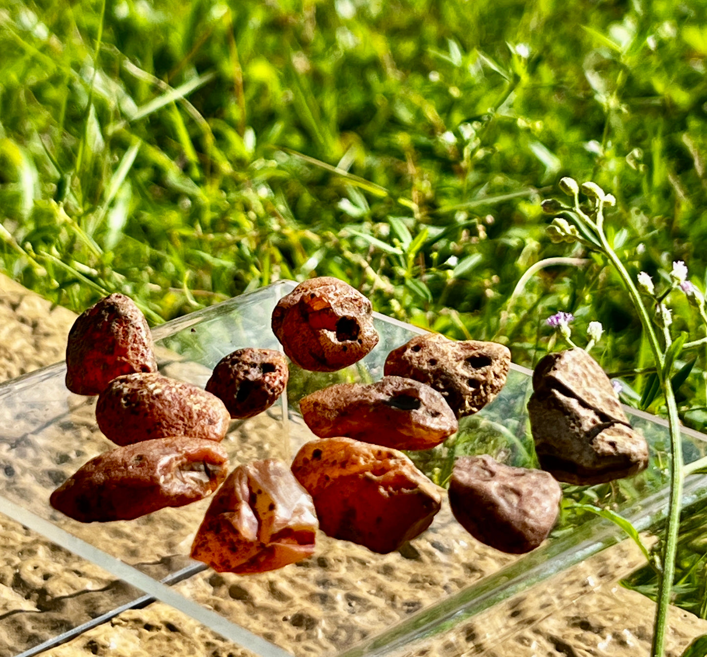 Carnelian Raw Tumbled Stones