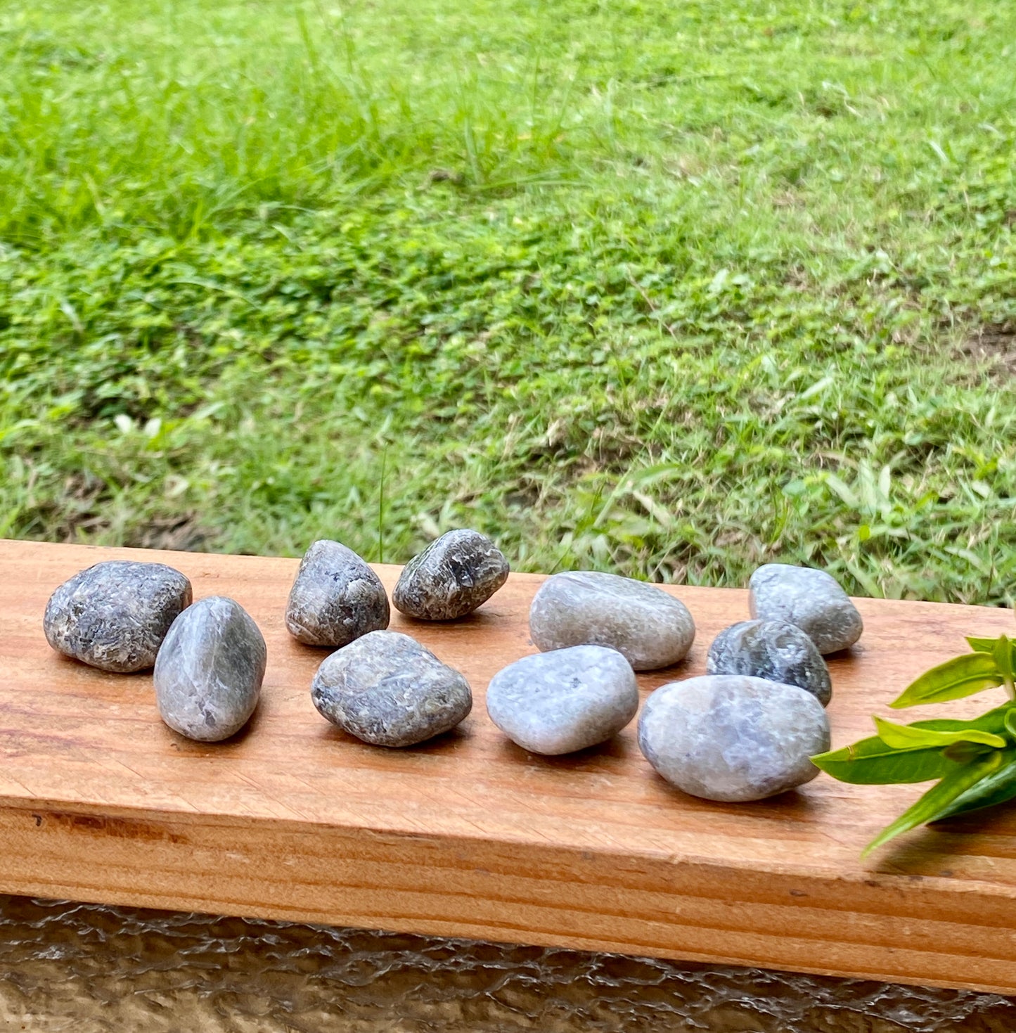 Labradorite Tumbled Stones