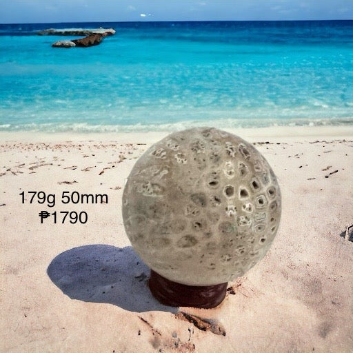 Coral Fossilized Sphere (Rare)