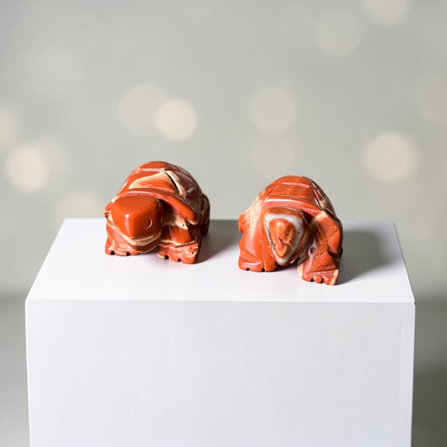 Red Jasper Lucky Turtle