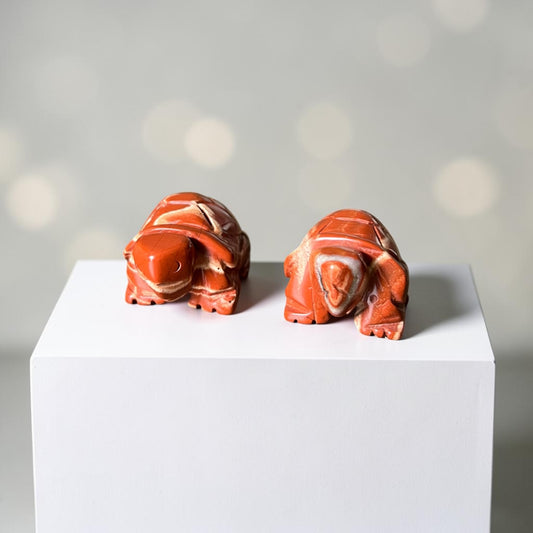 Red Jasper Lucky Turtle