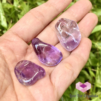 Amethyst Tumbled (Brazil) Pack Of 3 (20-25Mm)