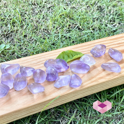 Amethyst Tumbled (Brazil)