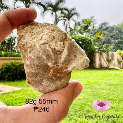 Ammonite Fossil 82G 55Mm Raw Crystal
