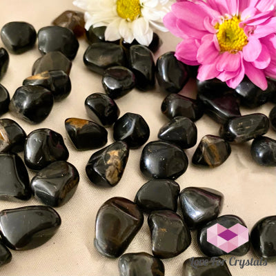 Black Onyx Tumbled Stones (Brazil)