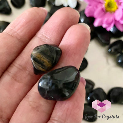 Black Onyx Tumbled Stones (Brazil) Pack Of 2 (10-15Mm)