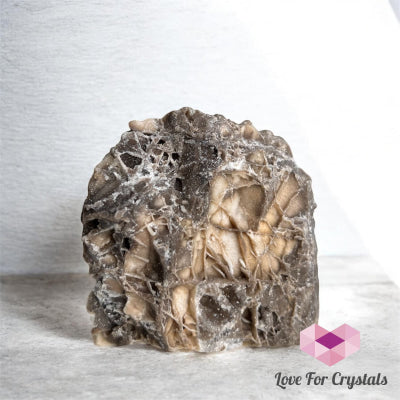 Black Ruby | Sphalerite 695g 88mm