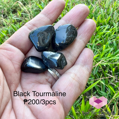 Black Tourmaline Tumbled Stones (Brazil) Pack Of 3