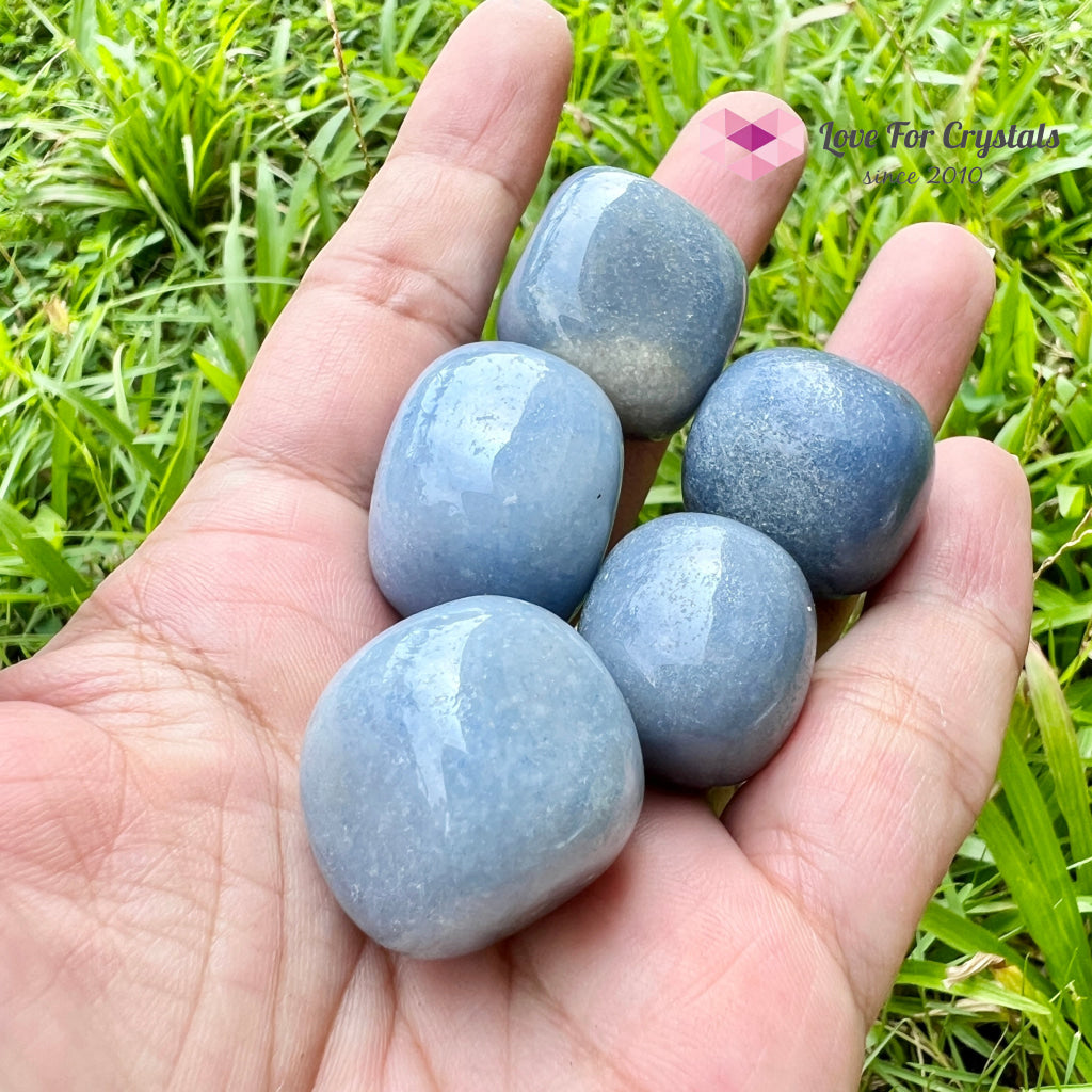 Blue Aventurine Tumbled Quartz Crystal (Brazil)