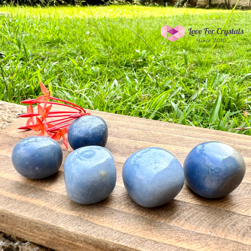 Blue Aventurine Tumbled Quartz Crystal (Brazil)