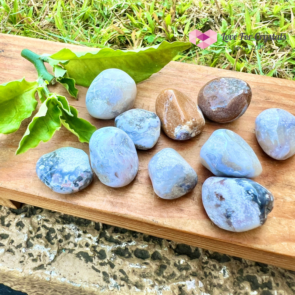 Blue Flower Agate Tumbled