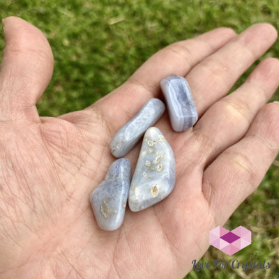 Blue Lace Agate Tumbed (South Africa) Pack Of 3 (10Mm) Tumbled