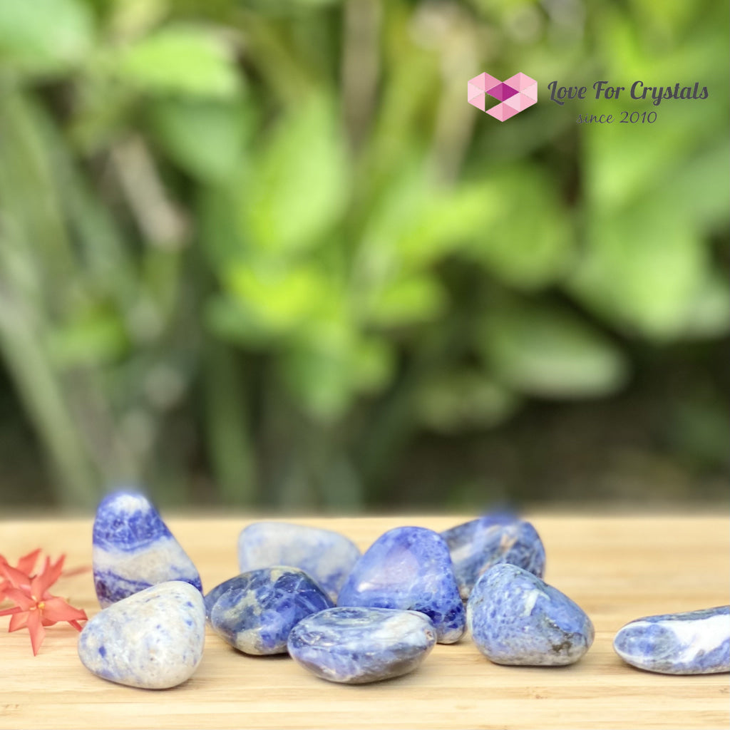 Blue Sodalite Tumbled Stones (Brazil) 20Mm (Per Piece)