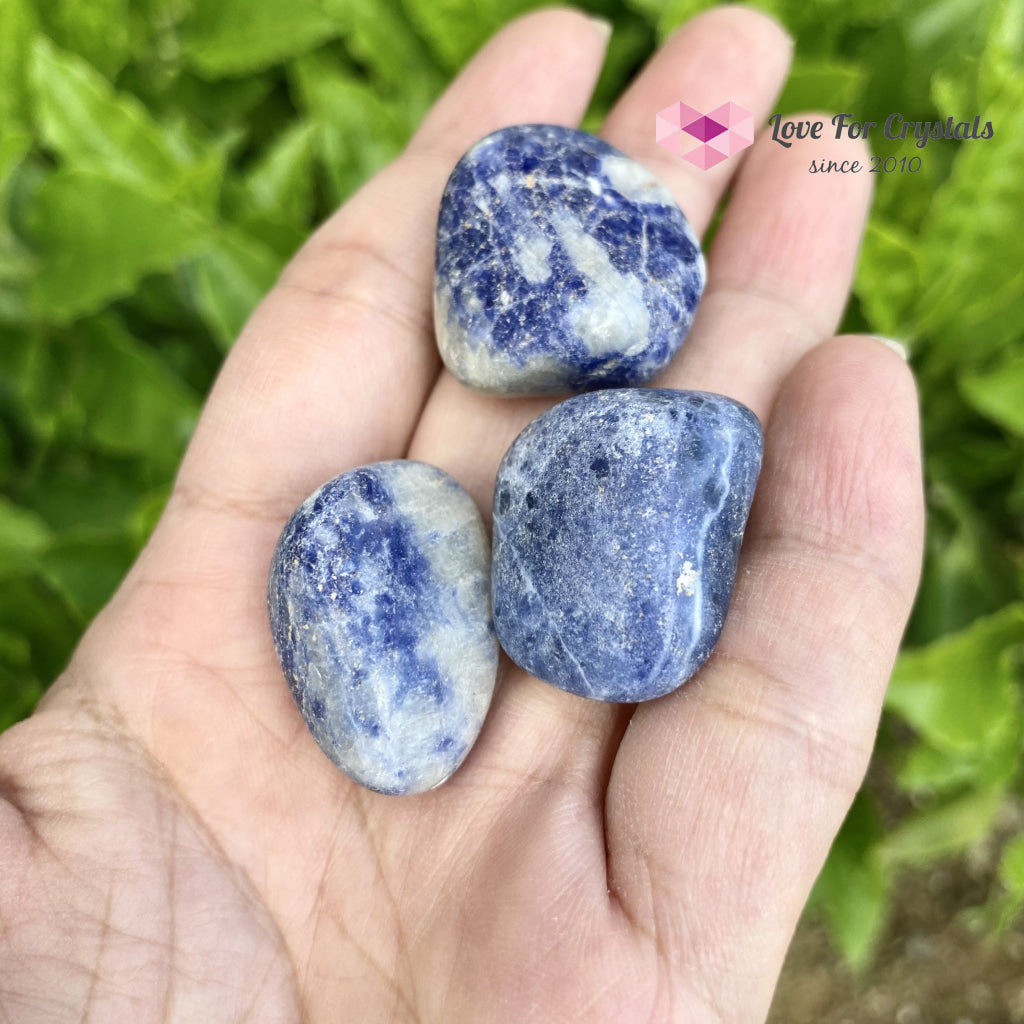 Blue Sodalite Tumbled Stones (Brazil) 25Mm (Per Piece)