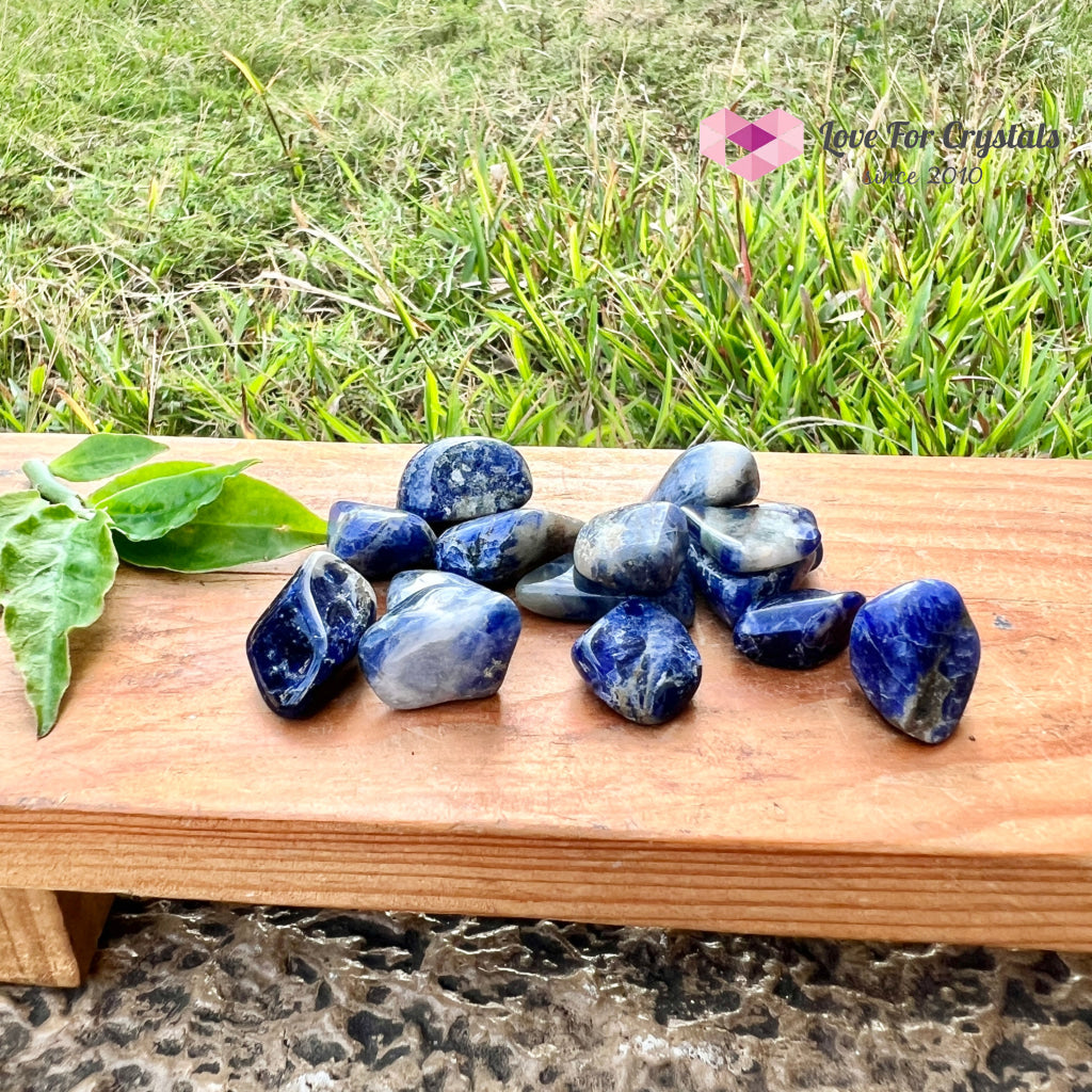 Blue Sodalite Tumbled Stones (Brazil)