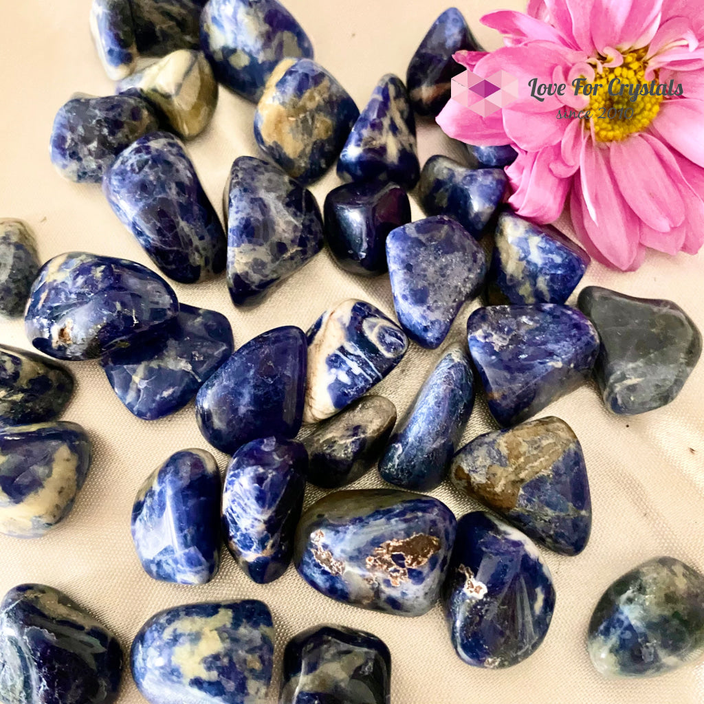 Blue Sodalite Tumbled Stones (Brazil)