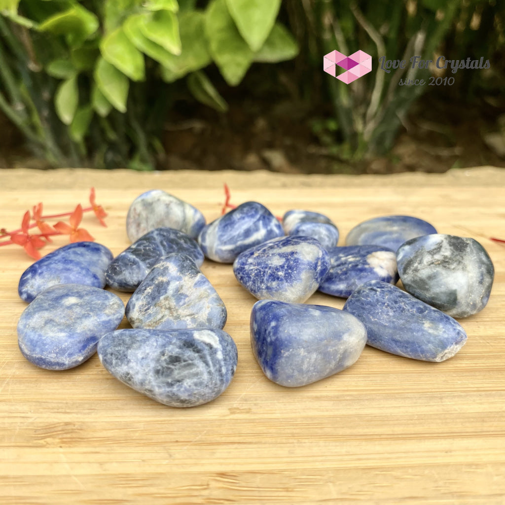 Blue Sodalite Tumbled Stones (Brazil)