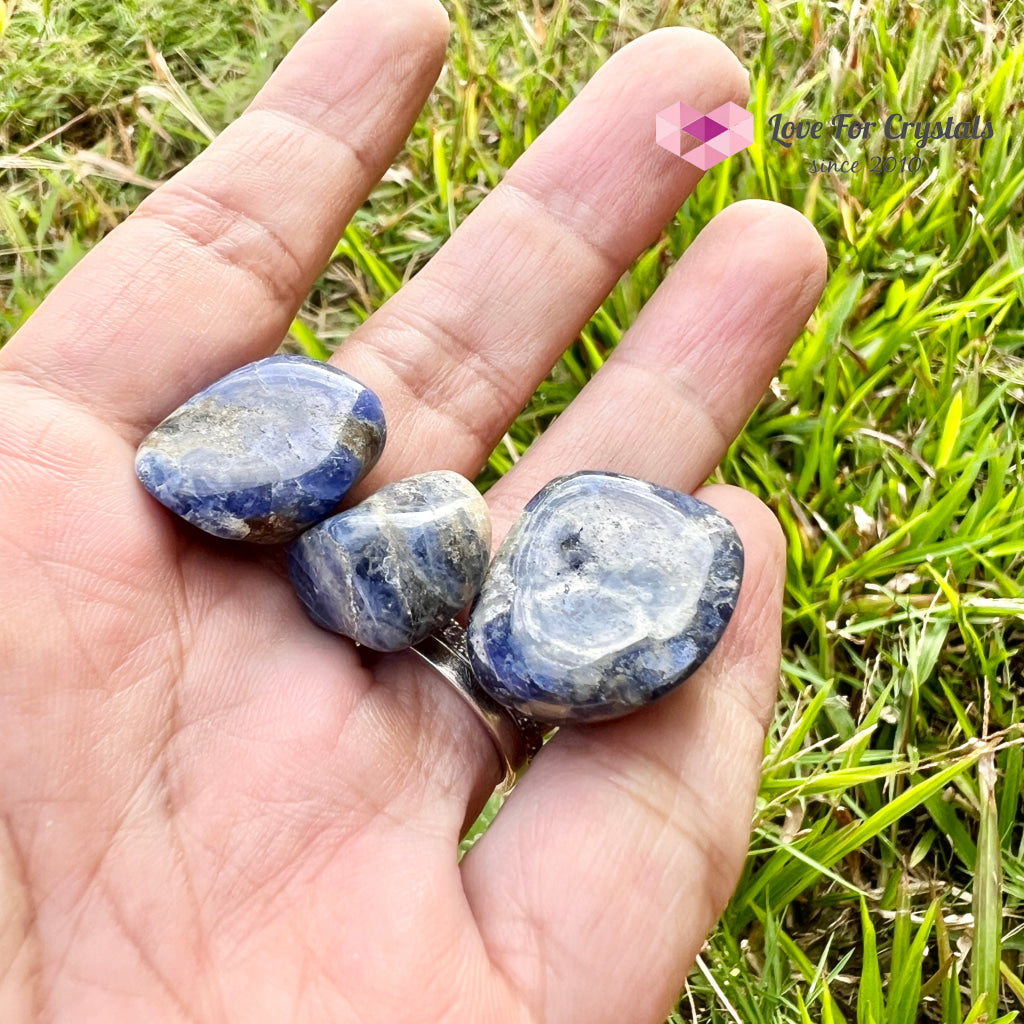 Blue Sodalite Tumbled Stones (Brazil) Pack Of 3