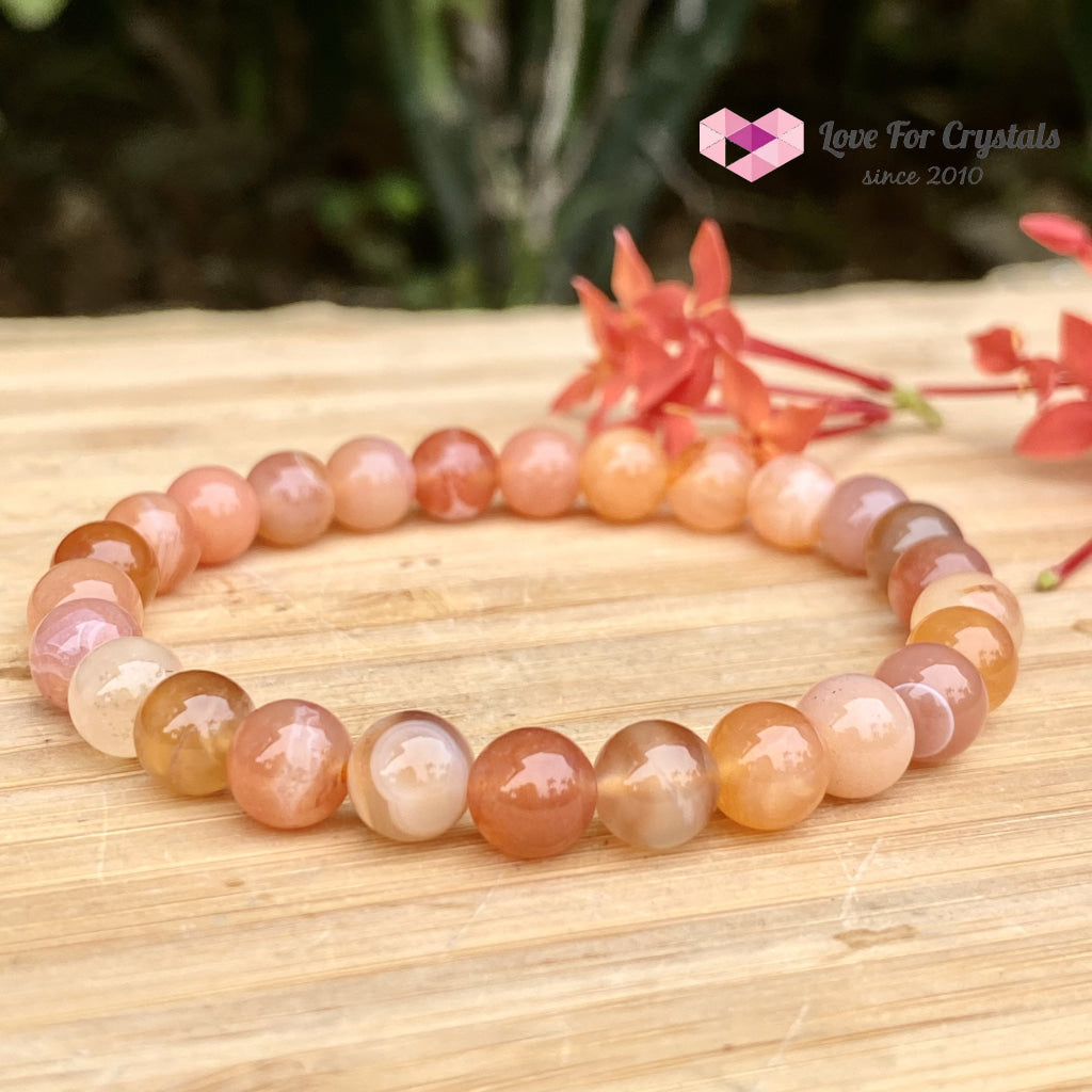 Carnelian Flower Agate 8Mm Bracelet (Brazil)