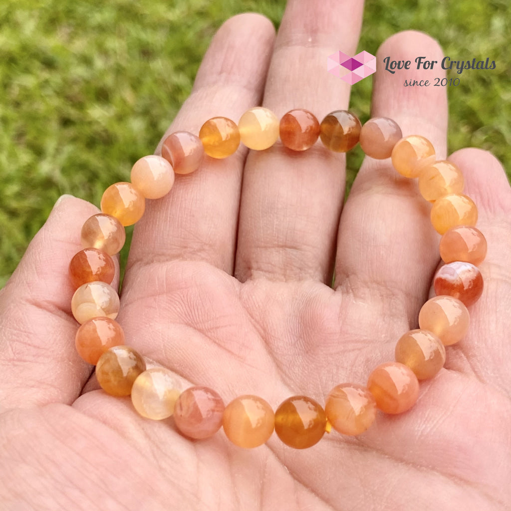 Carnelian Flower Agate 8Mm Bracelet (Brazil) 5.5