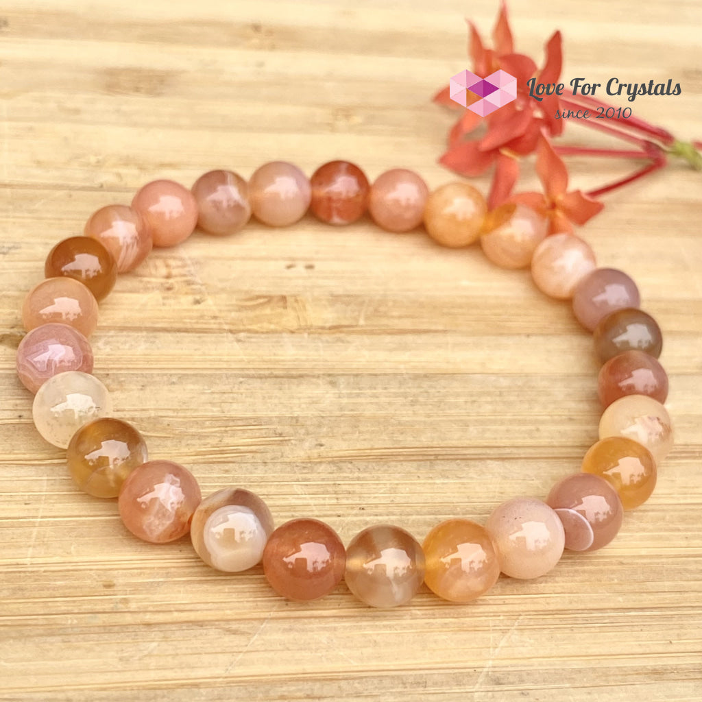 Carnelian Flower Agate 8Mm Bracelet (Brazil) 6