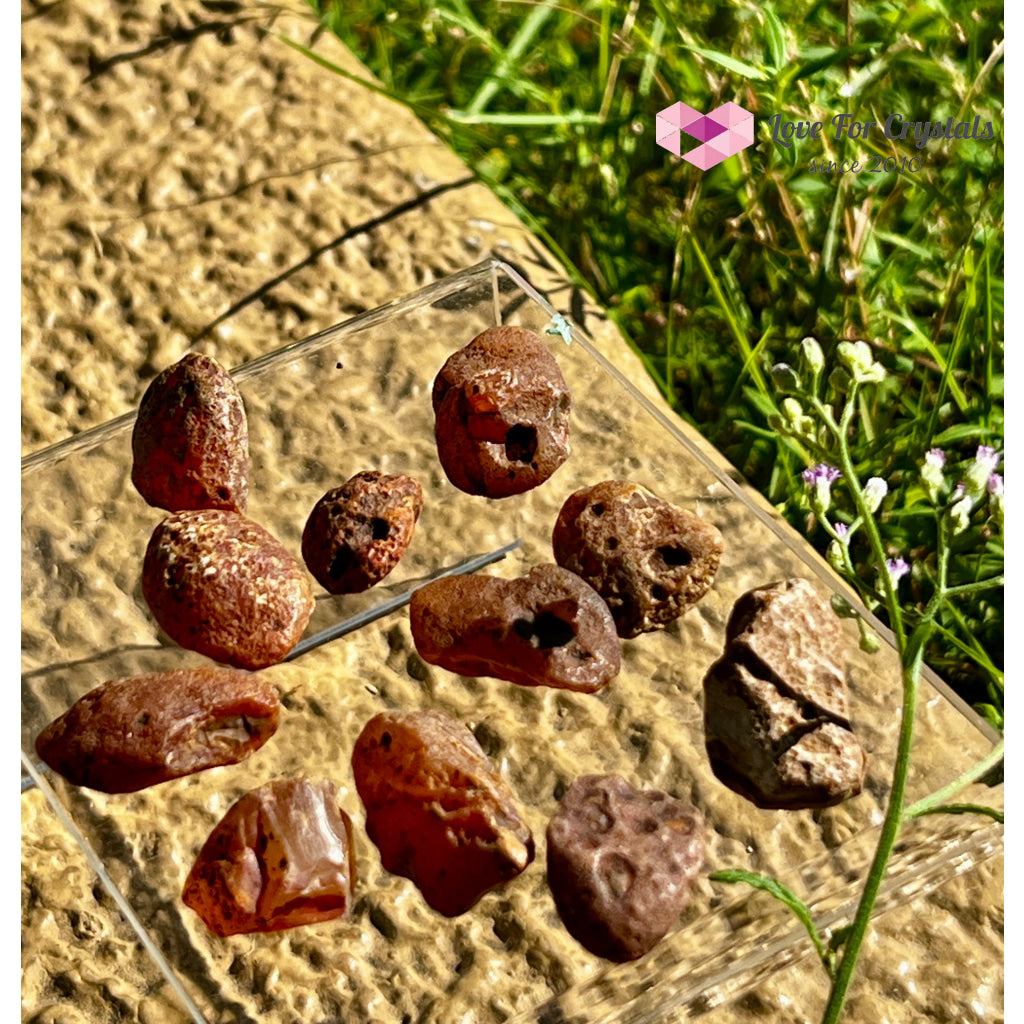 Carnelian Raw Tumbled Stones 4g 24mm Tumbled