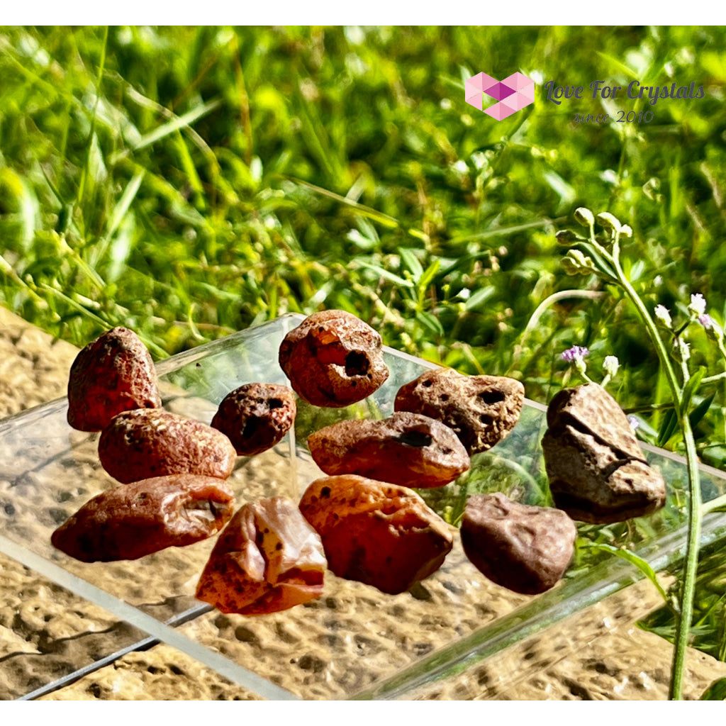 Carnelian Raw Tumbled Stones 4g 24mm Tumbled
