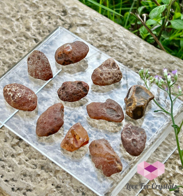 Carnelian Raw Tumbled Stones 4g 24mm Tumbled