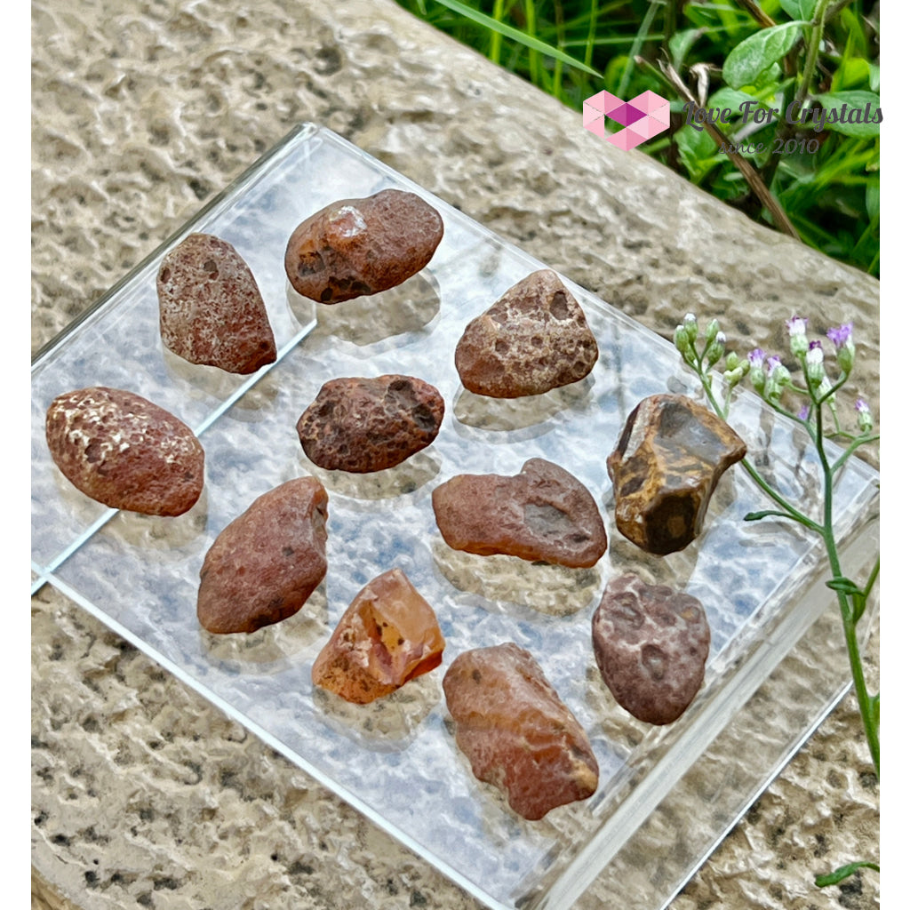 Carnelian Raw Tumbled Stones 4g 24mm Tumbled