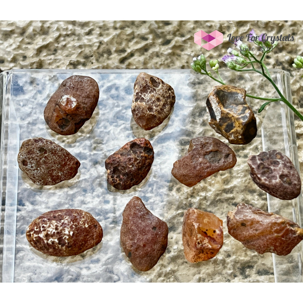 Carnelian Raw Tumbled Stones 4g 24mm Tumbled