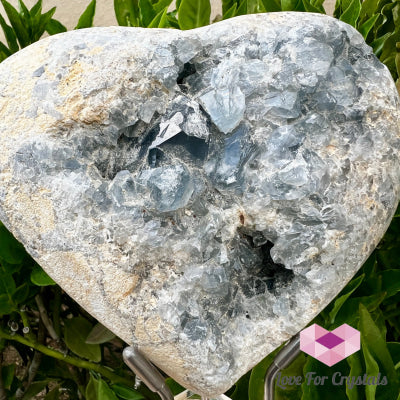 Celestite Heart 2,406g 151mm Hearts