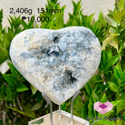 Celestite Heart 2,406g 151mm Hearts