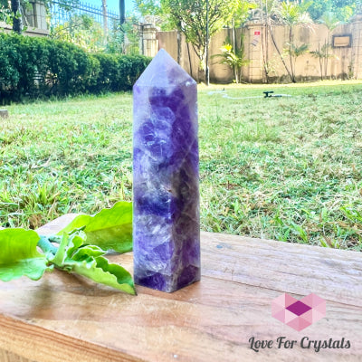 Chevron Amethyst Standing Point (Brazil) Crystal Points