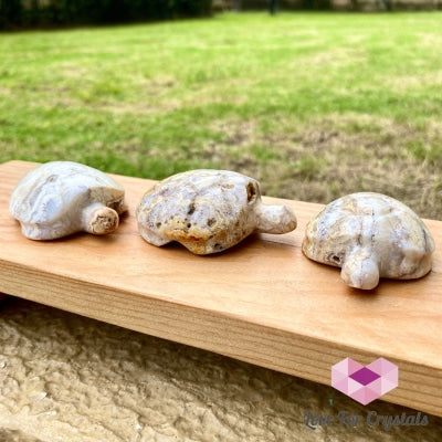 Crazy Lace Agate Hand Carved Turtle