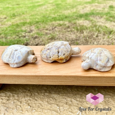 Crazy Lace Agate Hand Carved Turtle