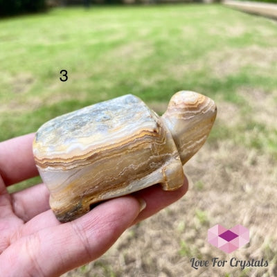 Crazy Lace Agate Hand Carved Turtle