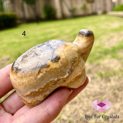 Crazy Lace Agate Hand Carved Turtle Photo 4
