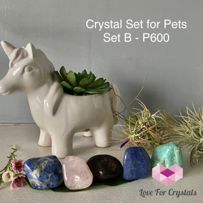 Crystal Set For Pets B Sets