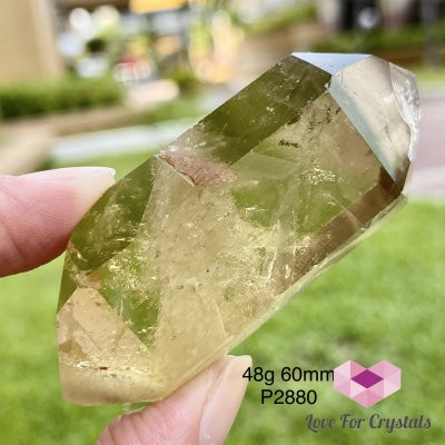 Double Terminated Natural Citrine Polished Point (Brazil) - Not Heated 48G 60Mm Crystal Points