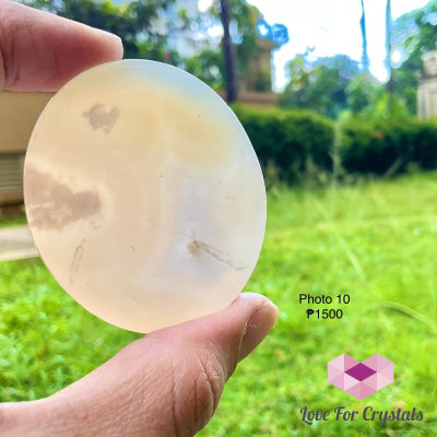 Flower Agate / Sakura Polished Slabs Stones