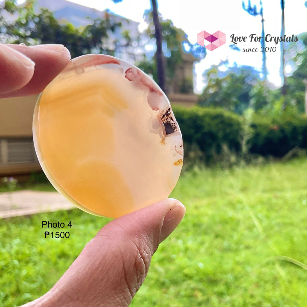 Flower Agate / Sakura Polished Slabs Stones