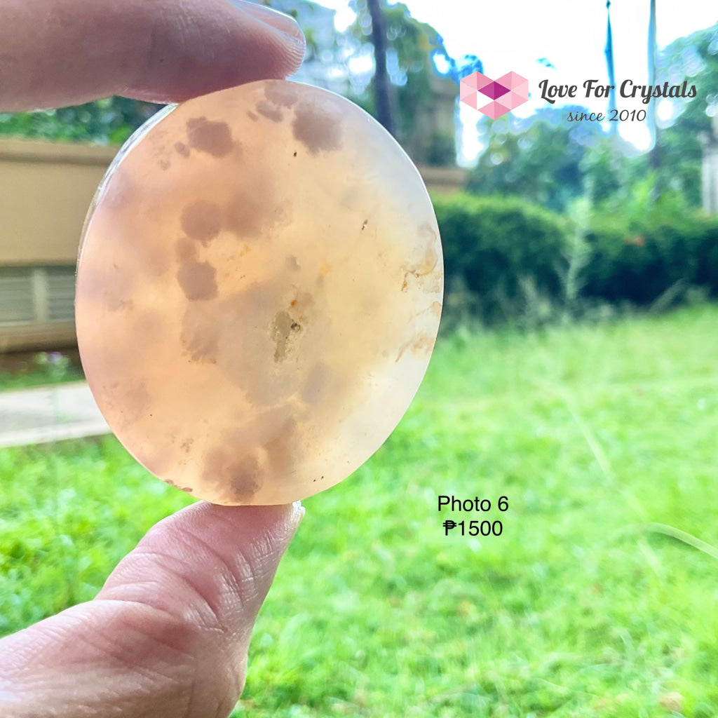 Flower Agate / Sakura Polished Slabs Stones