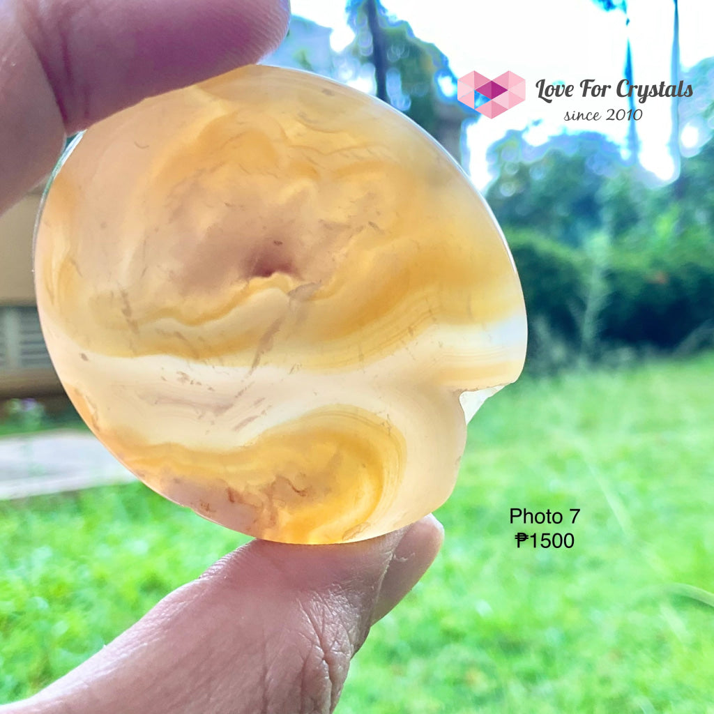 Flower Agate / Sakura Polished Slabs Stones