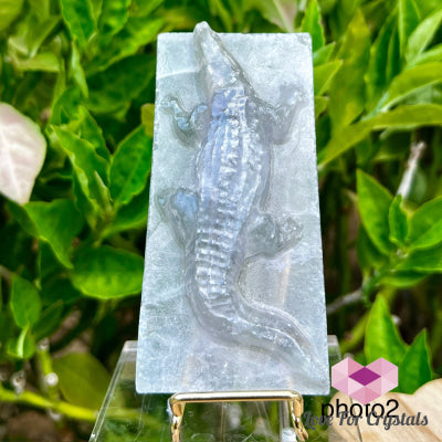 Fluorite Crocodile Carving Slab photo2 Slabs