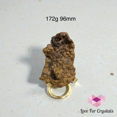 Golden Leklai (Rare) 172g 96mm