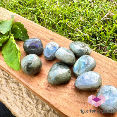 Labradorite Tumbled (Madagascar)